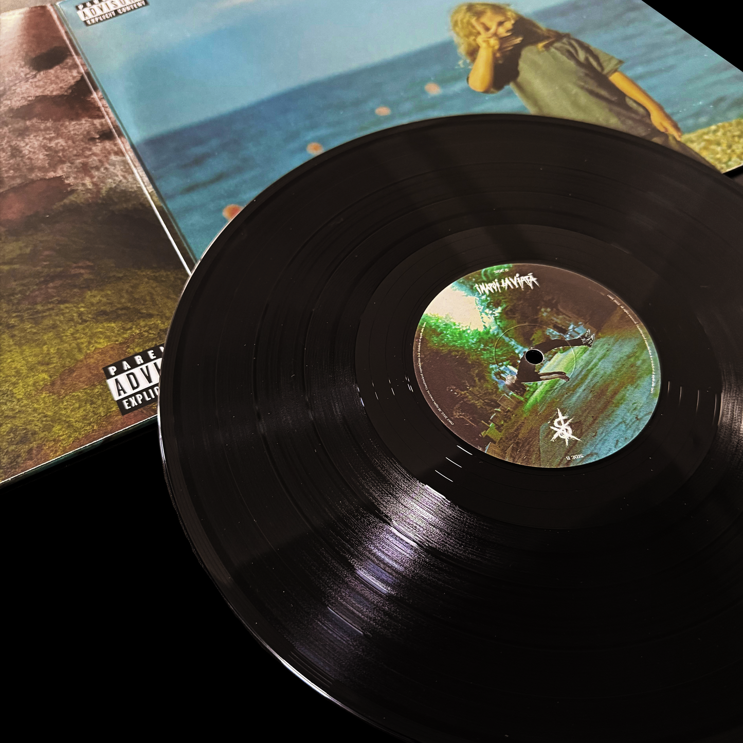 VINYL ÎNAPOI LA VIAȚĂ - STANDARD EDITION