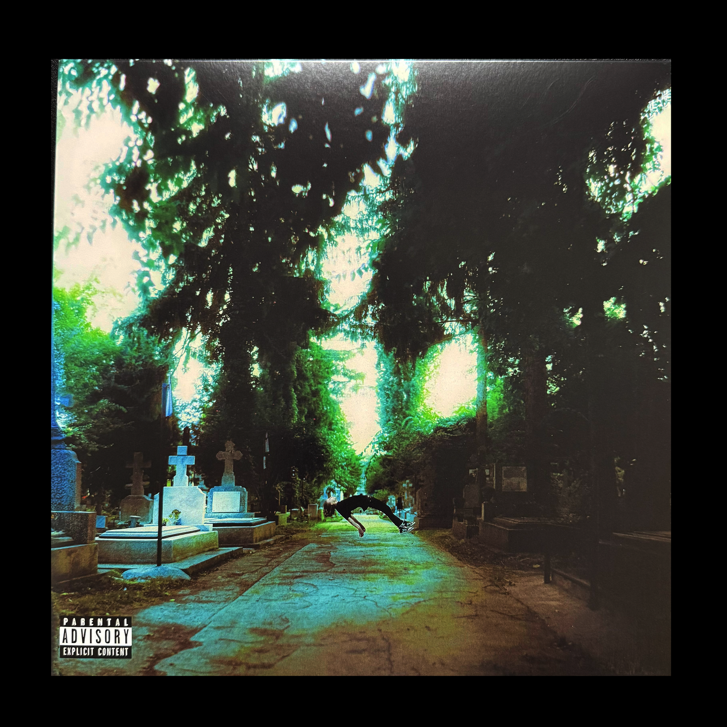 VINYL ÎNAPOI LA VIAȚĂ - STANDARD EDITION